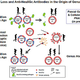 Image for article titled How sugar molecules secretly shaped human evolution